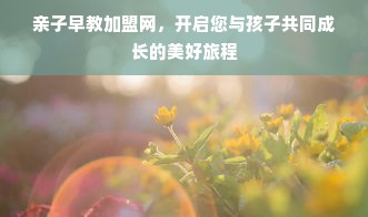 羊小咩便荔卡额度提现攻略，商家支持与使用方法全解析