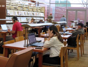 亲子早教加盟店，开启家庭教育的黄金之路