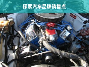 探索汽车品牌销售点