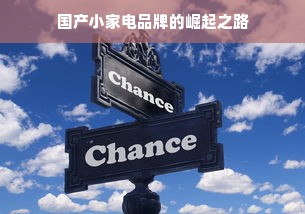 国产小家电品牌的崛起之路