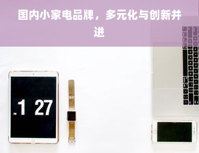 国内小家电品牌，多元化与创新并进
