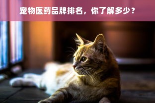 宠物医药品牌排名，你了解多少？
