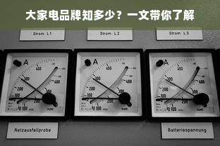 大家电品牌知多少？一文带你了解