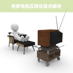 各家电视品牌优缺点解析