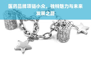 医药品牌项链小众，独特魅力与未来发展之路