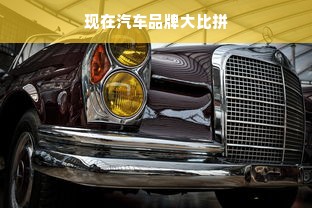 现在汽车品牌大比拼