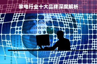 京东白条额度怎么套出来？揭秘白条额度降低背后的原因