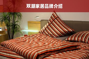 双潮家居品牌介绍