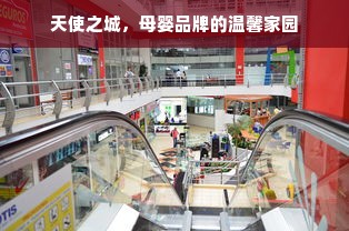 京东白条收钱里的钱怎么提现—详细步骤与案例解析