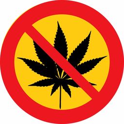 进口医药品牌排名揭秘，了解全球顶尖药品品牌及其影响力