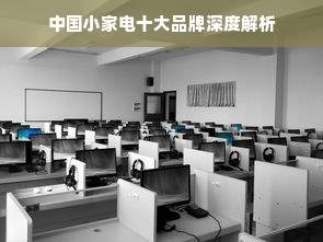 中国小家电十大品牌深度解析