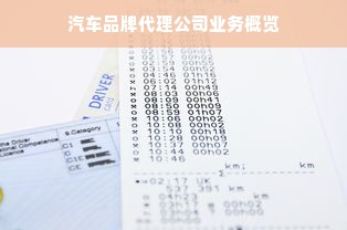 汽车品牌代理公司业务概览