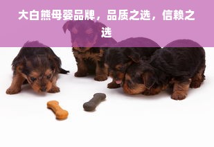 大白熊母婴品牌，品质之选，信赖之选