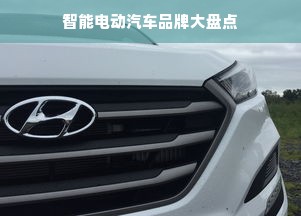 智能电动汽车品牌大盘点