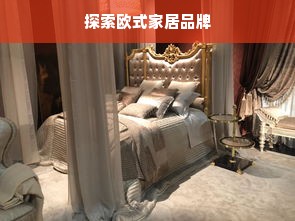 探索欧式家居品牌