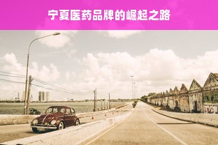 宁夏医药品牌的崛起之路