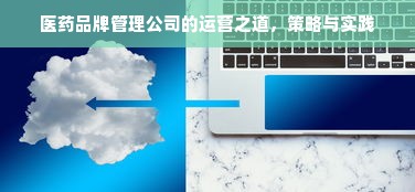 医药品牌管理公司的运营之道，策略与实践