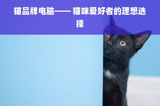 猫品牌电脑—— 猫咪爱好者的理想选择