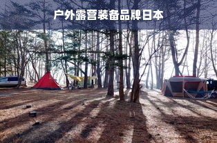 快手先用后付额度提现攻略，轻松变现你的虚拟财富！