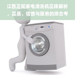 江西正规家电清洗机品牌解析，品质、信誉与服务的综合考量