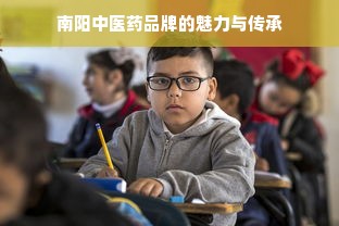 南阳中医药品牌的魅力与传承