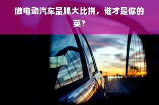 微电动汽车品牌大比拼，谁才是你的菜？