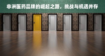 非洲医药品牌的崛起之路，挑战与机遇并存