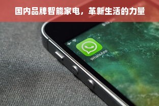 国内品牌智能家电，革新生活的力量