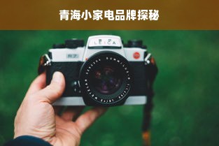 棵美森达板材品牌评测，品质与口碑双丰收