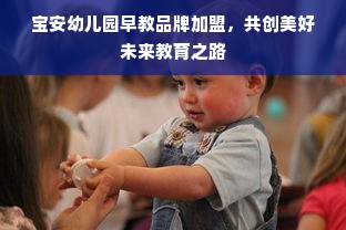 宝安幼儿园早教品牌加盟，共创美好未来教育之路