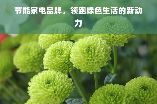 节能家电品牌，领跑绿色生活的新动力