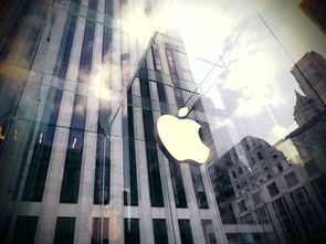 中国品牌装修App深度解析