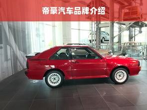 帝豪汽车品牌介绍