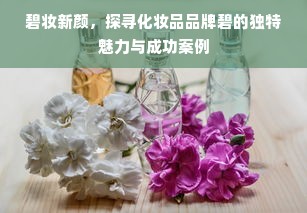碧妆新颜，探寻化妆品品牌碧的独特魅力与成功案例