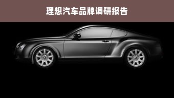 理想汽车品牌调研报告