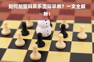 大嘴鸭母婴品牌深度解析