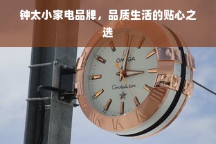 钟太小家电品牌，品质生活的贴心之选