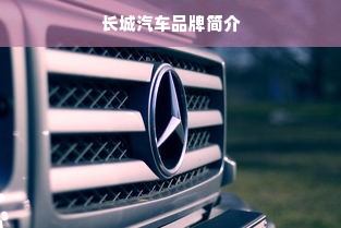 长城汽车品牌简介