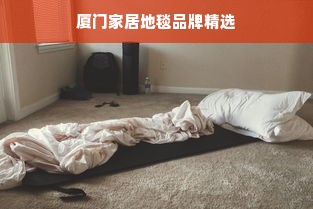 厦门家居地毯品牌精选