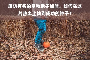 廊坊有名的早教亲子加盟，如何在这片热土上找到成功的种子？