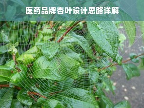 医药品牌杏叶设计思路详解