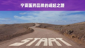 宁夏医药品牌的崛起之路
