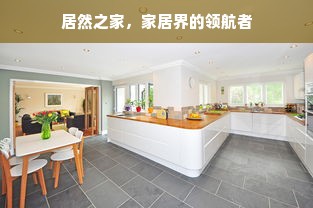居然之家，家居界的领航者