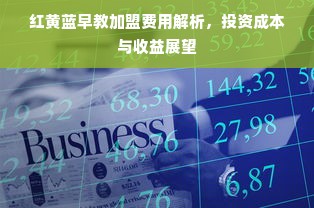 红黄蓝早教加盟费用解析，投资成本与收益展望