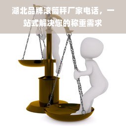湖北品牌滚筒秤厂家电话，一站式解决您的称重需求