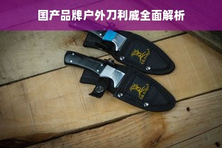国产品牌户外刀利威全面解析