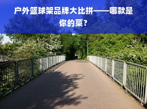 户外篮球架品牌大比拼——哪款是你的菜？