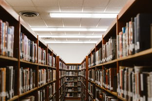 家居美学品牌建设方案