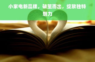 小家电新品牌，破茧而出，绽放独特魅力