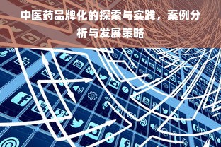 中医药品牌化的探索与实践，案例分析与发展策略